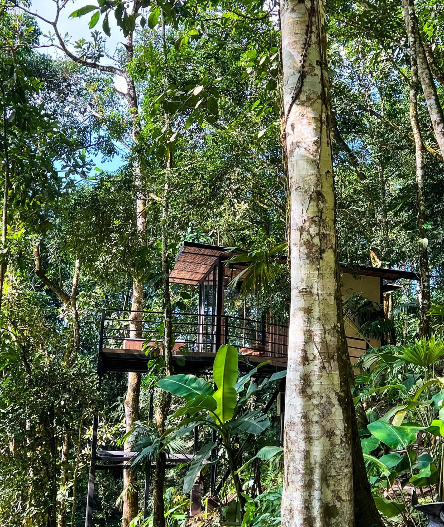Rincon De La Sierra Minca Hotel Bagian luar foto